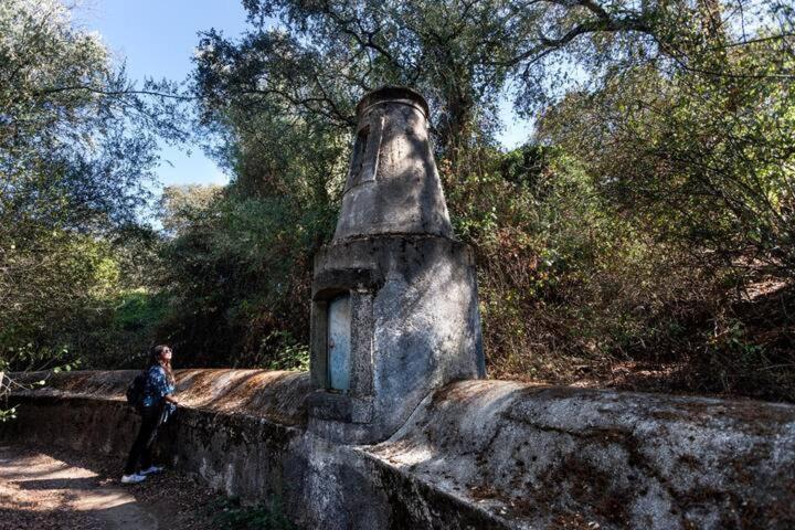 אבורה Monte Do Serrado De Baixo - T4 מראה חיצוני תמונה